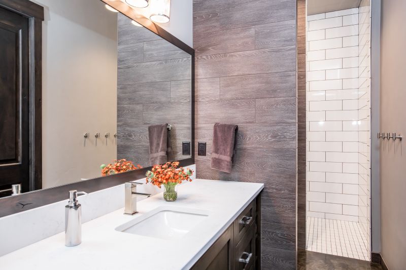 Modern Vanity Areas